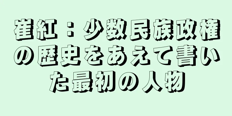 崔紅：少数民族政権の歴史をあえて書いた最初の人物