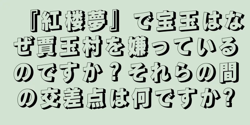 『紅楼夢』で宝玉はなぜ賈玉村を嫌っているのですか？それらの間の交差点は何ですか?
