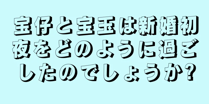 宝仔と宝玉は新婚初夜をどのように過ごしたのでしょうか?
