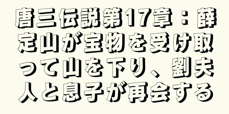 唐三伝説第17章：薛定山が宝物を受け取って山を下り、劉夫人と息子が再会する