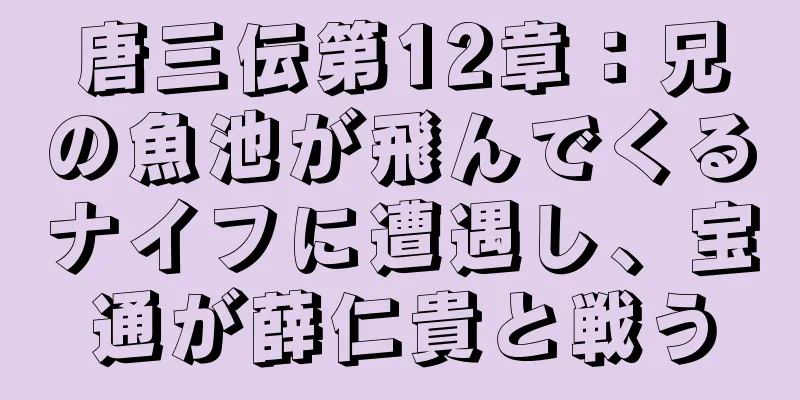 唐三伝第12章：兄の魚池が飛んでくるナイフに遭遇し、宝通が薛仁貴と戦う