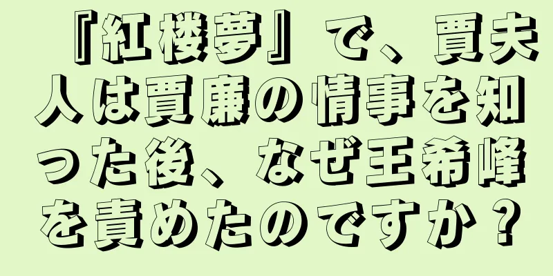 『紅楼夢』で、賈夫人は賈廉の情事を知った後、なぜ王希峰を責めたのですか？