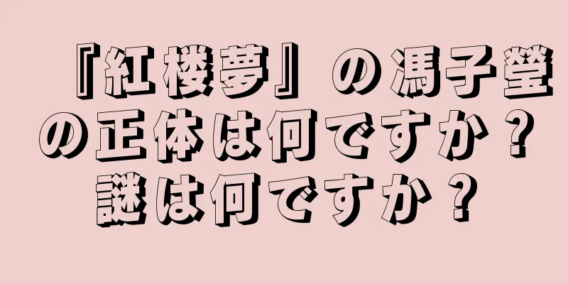 『紅楼夢』の馮子瑩の正体は何ですか？謎は何ですか？