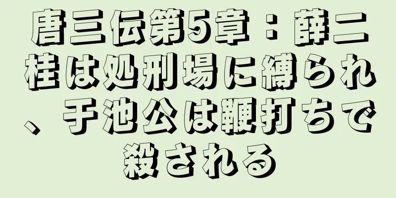 唐三伝第5章：薛二桂は処刑場に縛られ、于池公は鞭打ちで殺される