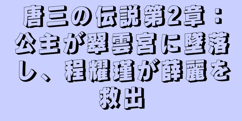 唐三の伝説第2章：公主が翠雲宮に墜落し、程耀瑾が薛麗を救出