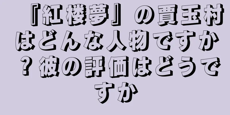 『紅楼夢』の賈玉村はどんな人物ですか？彼の評価はどうですか