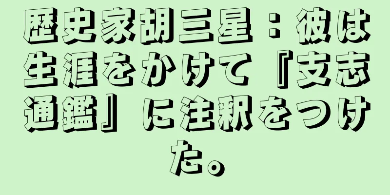 歴史家胡三星：彼は生涯をかけて『支志通鑑』に注釈をつけた。