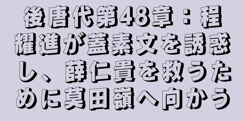 後唐代第48章：程耀進が蓋素文を誘惑し、薛仁貴を救うために莫田嶺へ向かう