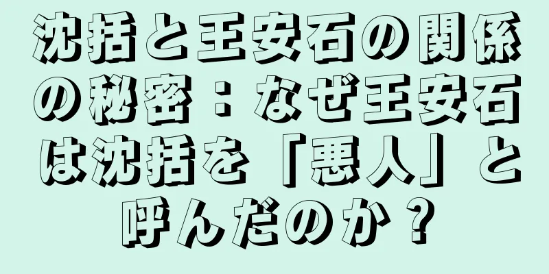 沈括と王安石の関係の秘密：なぜ王安石は沈括を「悪人」と呼んだのか？