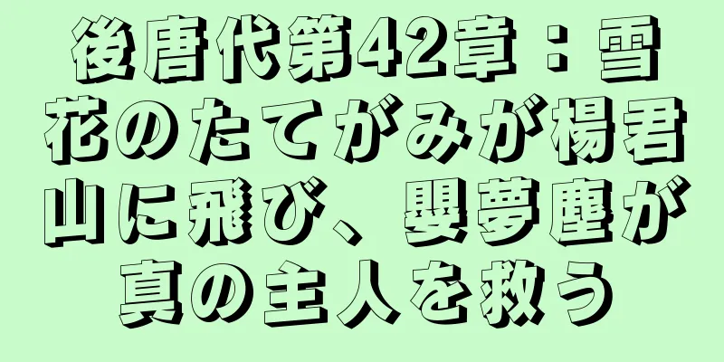 後唐代第42章：雪花のたてがみが楊君山に飛び、嬰夢塵が真の主人を救う