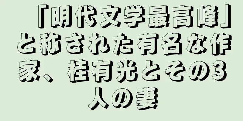 「明代文学最高峰」と称された有名な作家、桂有光とその3人の妻
