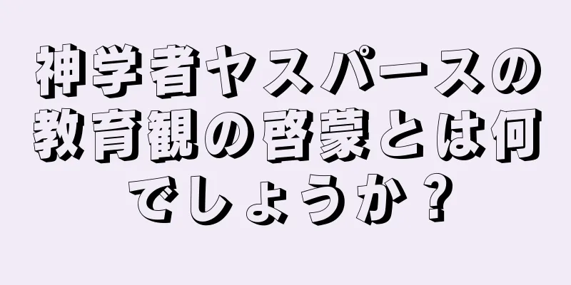 神学者ヤスパースの教育観の啓蒙とは何でしょうか？