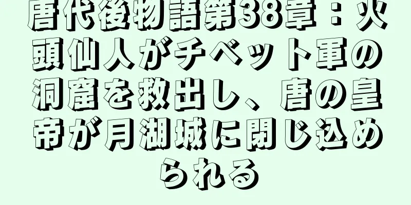 唐代後物語第38章：火頭仙人がチベット軍の洞窟を救出し、唐の皇帝が月湖城に閉じ込められる