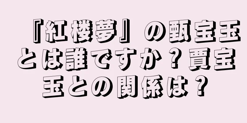 『紅楼夢』の甄宝玉とは誰ですか？賈宝玉との関係は？
