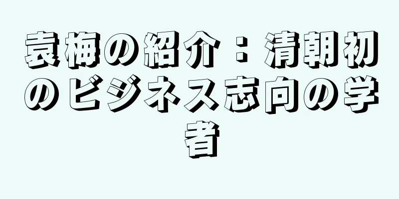 袁梅の紹介：清朝初のビジネス志向の学者
