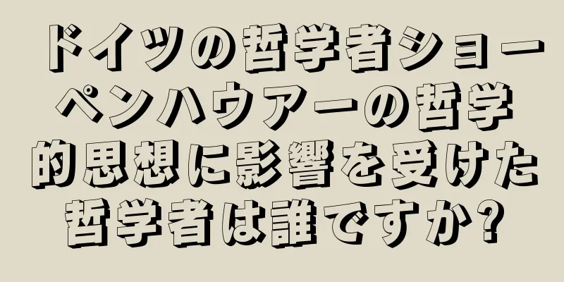 ドイツの哲学者ショーペンハウアーの哲学的思想に影響を受けた哲学者は誰ですか?