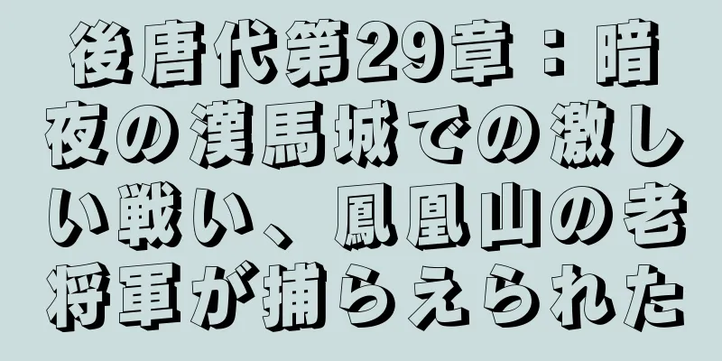 後唐代第29章：暗夜の漢馬城での激しい戦い、鳳凰山の老将軍が捕らえられた