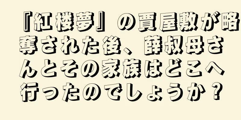 『紅楼夢』の賈屋敷が略奪された後、薛叔母さんとその家族はどこへ行ったのでしょうか？
