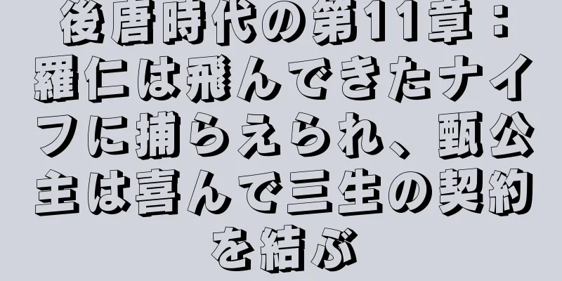 後唐時代の第11章：羅仁は飛んできたナイフに捕らえられ、甄公主は喜んで三生の契約を結ぶ