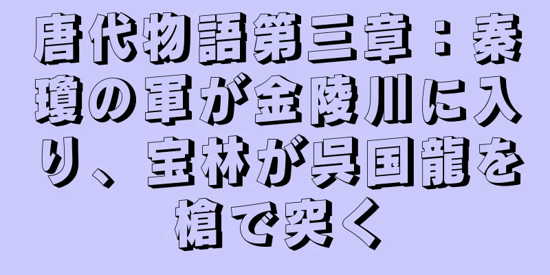 唐代物語第三章：秦瓊の軍が金陵川に入り、宝林が呉国龍を槍で突く
