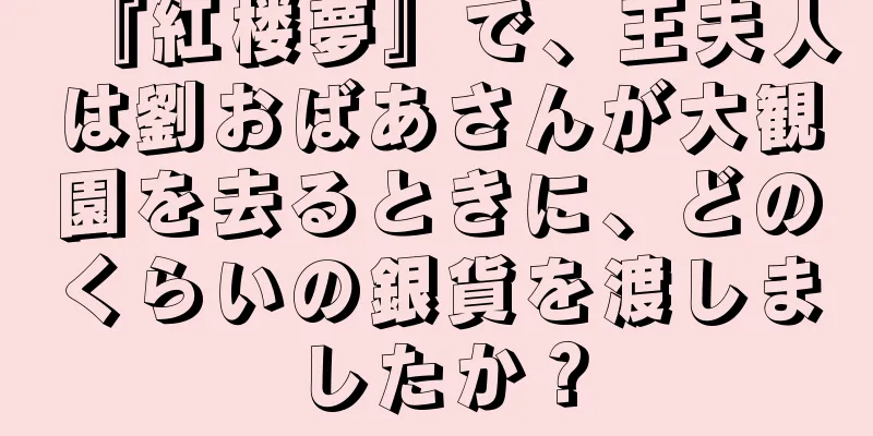 『紅楼夢』で、王夫人は劉おばあさんが大観園を去るときに、どのくらいの銀貨を渡しましたか？