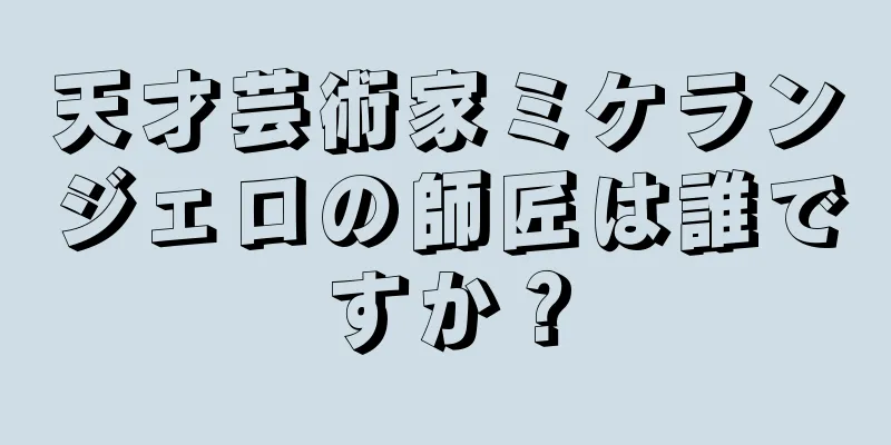 天才芸術家ミケランジェロの師匠は誰ですか？