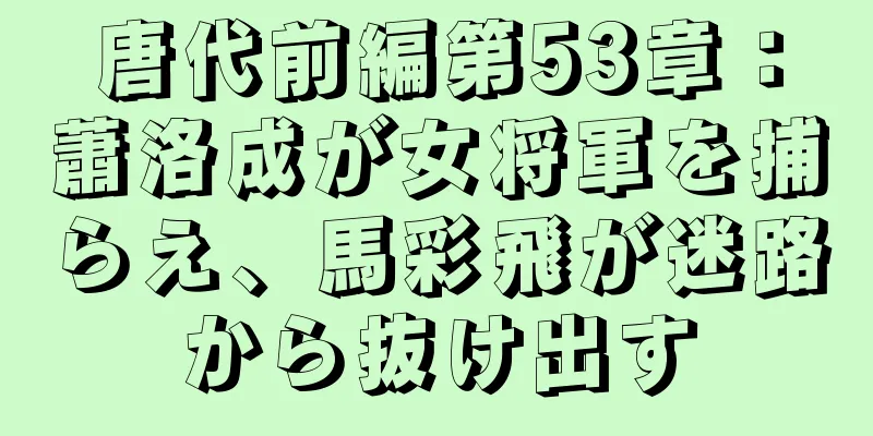 唐代前編第53章：蕭洛成が女将軍を捕らえ、馬彩飛が迷路から抜け出す