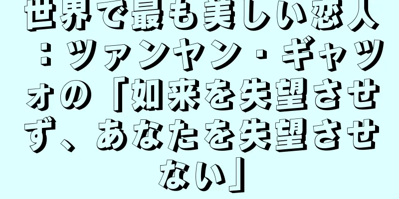 世界で最も美しい恋人：ツァンヤン・ギャツォの「如来を失望させず、あなたを失望させない」