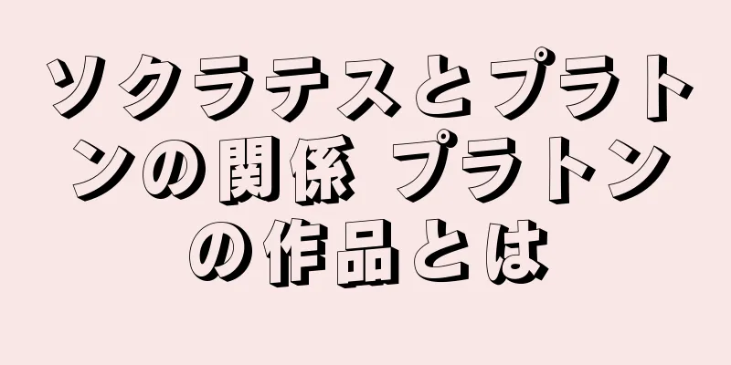 ソクラテスとプラトンの関係 プラトンの作品とは