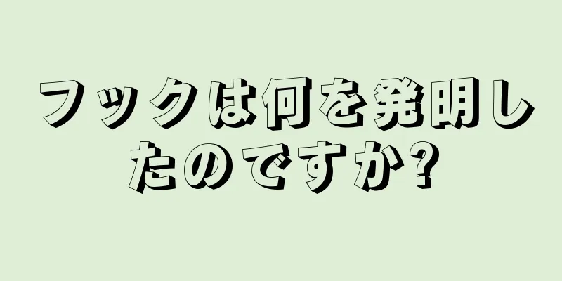 フックは何を発明したのですか?