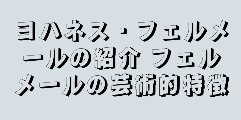ヨハネス・フェルメールの紹介 フェルメールの芸術的特徴