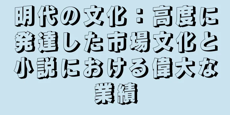明代の文化：高度に発達した市場文化と小説における偉大な業績