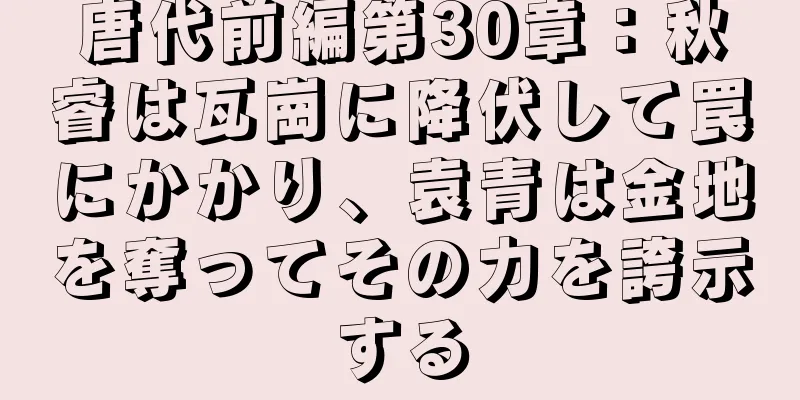 唐代前編第30章：秋睿は瓦崗に降伏して罠にかかり、袁青は金地を奪ってその力を誇示する