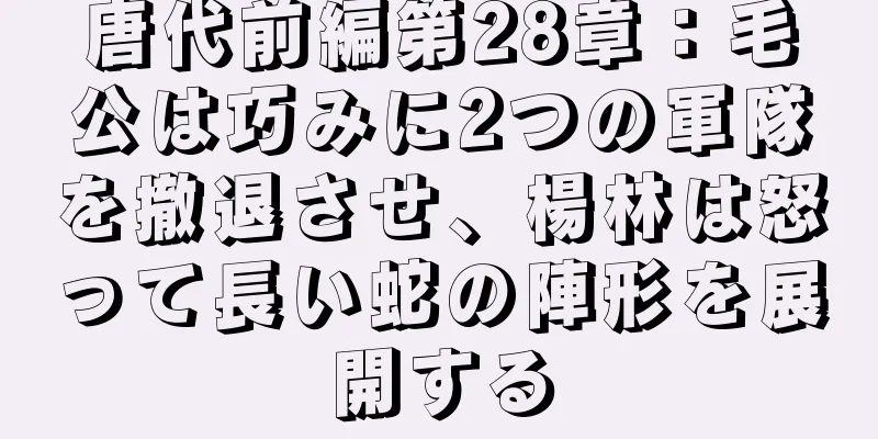 唐代前編第28章：毛公は巧みに2つの軍隊を撤退させ、楊林は怒って長い蛇の陣形を展開する