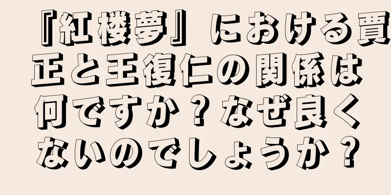 『紅楼夢』における賈正と王復仁の関係は何ですか？なぜ良くないのでしょうか？