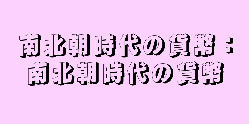 南北朝時代の貨幣：南北朝時代の貨幣