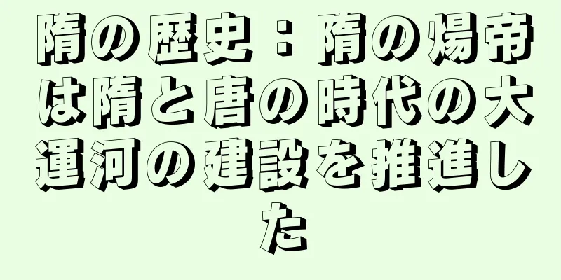 隋の歴史：隋の煬帝は隋と唐の時代の大運河の建設を推進した