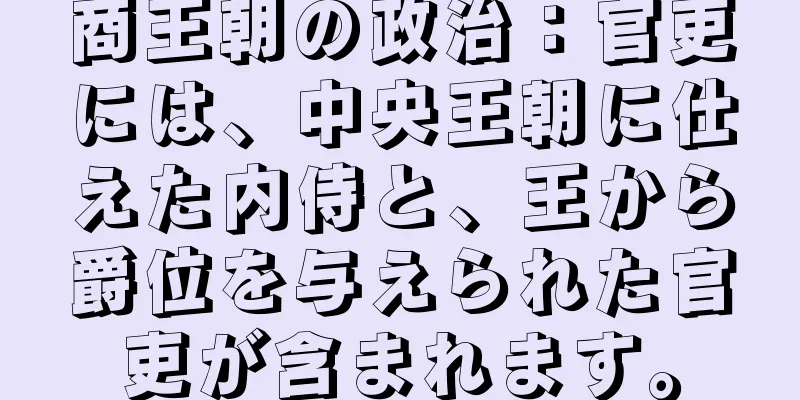 商王朝の政治：官吏には、中央王朝に仕えた内侍と、王から爵位を与えられた官吏が含まれます。