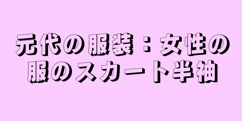 元代の服装：女性の服のスカート半袖