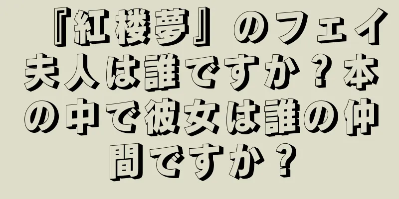 『紅楼夢』のフェイ夫人は誰ですか？本の中で彼女は誰の仲間ですか？