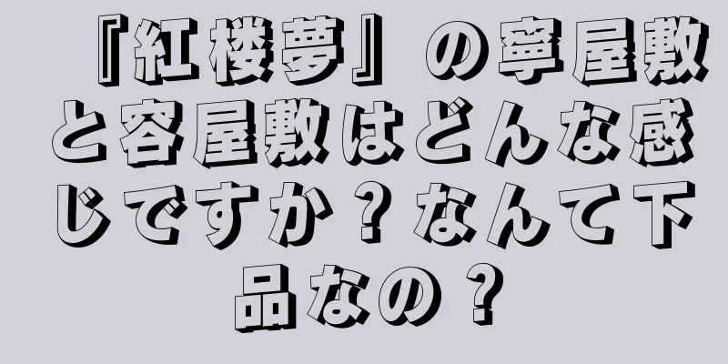 『紅楼夢』の寧屋敷と容屋敷はどんな感じですか？なんて下品なの？