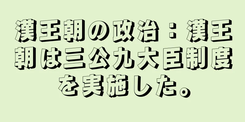 漢王朝の政治：漢王朝は三公九大臣制度を実施した。