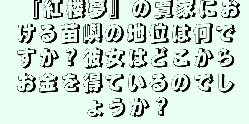 『紅楼夢』の賈家における苗嶼の地位は何ですか？彼女はどこからお金を得ているのでしょうか？