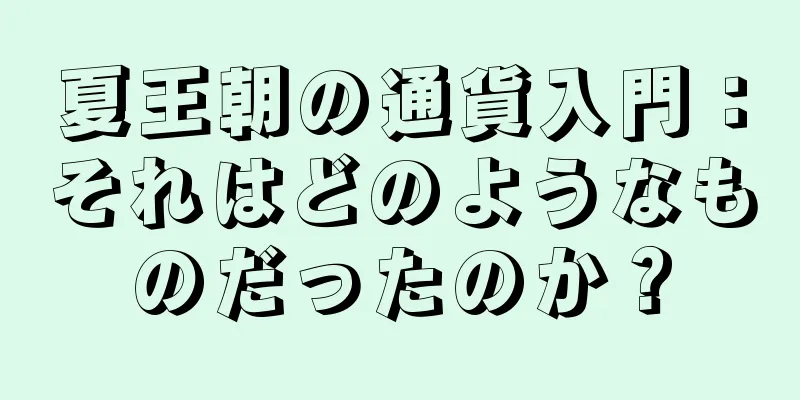 夏王朝の通貨入門：それはどのようなものだったのか？
