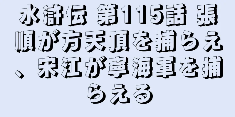 水滸伝 第115話 張順が方天頂を捕らえ、宋江が寧海軍を捕らえる