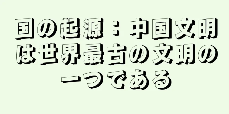国の起源：中国文明は世界最古の文明の一つである