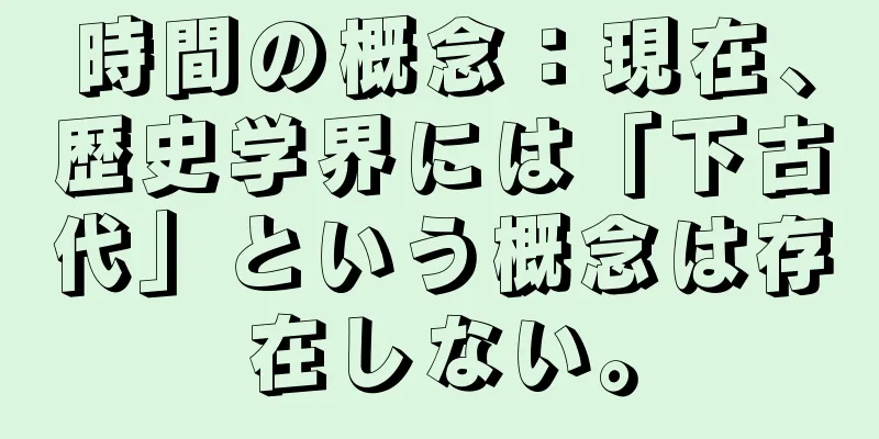 時間の概念：現在、歴史学界には「下古代」という概念は存在しない。
