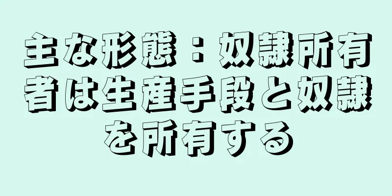 主な形態：奴隷所有者は生産手段と奴隷を所有する