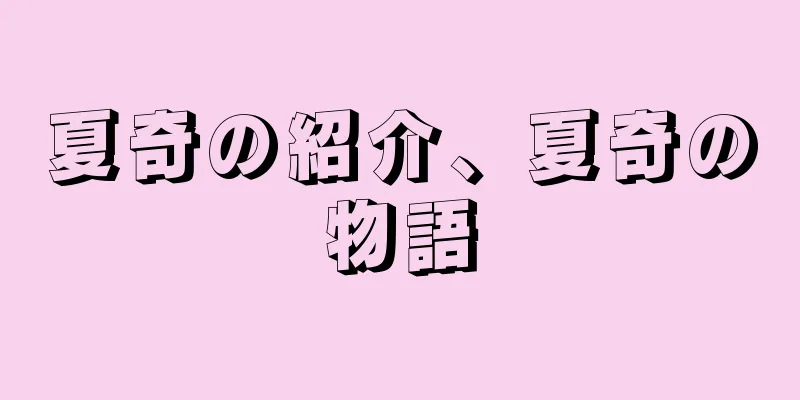 夏奇の紹介、夏奇の物語
