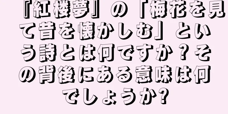 『紅楼夢』の「梅花を見て昔を懐かしむ」という詩とは何ですか？その背後にある意味は何でしょうか?